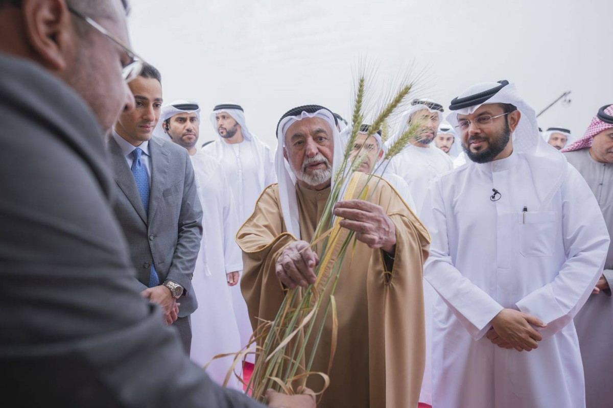 Read more about the article حاكم الشارقة يشهد حصاد الموسم الثالث لقمح “سبع سنابل” في مليحة.      وام